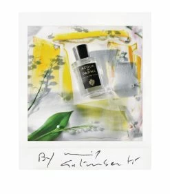 Acqua di Parma ADP SIG LILY OF THE VALLEY EDP 180ML 21 Mens Perfume Gift Sets 8 Acqua di Parma ADP SIG LILY OF THE VALLEY EDP 180ML 21 Mens Perfume Gift Sets -Acqua di Parma Shop acqua di parma adp sig lily of the valley edp 180ml 21 17225990 34896488 1000