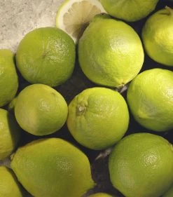 Acqua di Parma Colonia Futura After Shave Balm (100ml) Moisturisers -Acqua di Parma Shop acqua di parma colonia futura after shave balm 100ml 16608462 32283668 1000